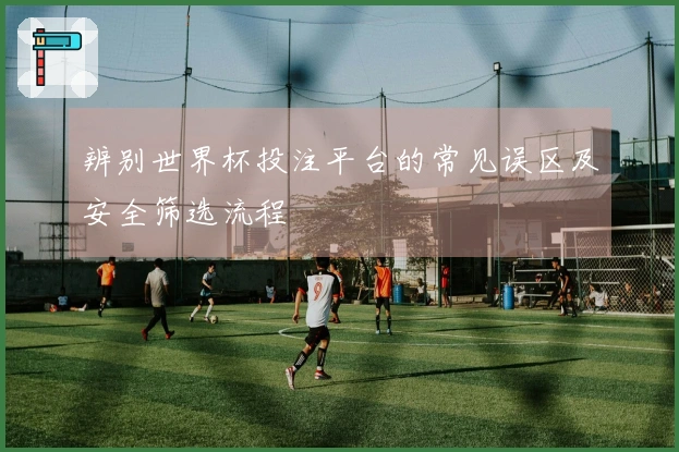 辨别世界杯投注平台的常见误区及安全筛选流程